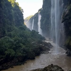 Meet your Posher, Ming